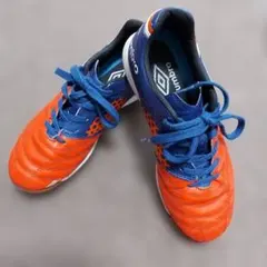 umbro フットサルシューズ　ジュニア　22.5cm