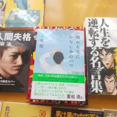 晴れた日にかなしみの一つ他文庫本65冊