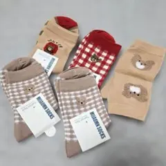 くまの靴下 レディースサイズ　5足セット