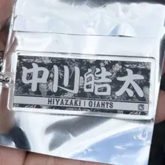 Item thumbnail for item 25736854-47ef-4f23-907c-003d794aae6f