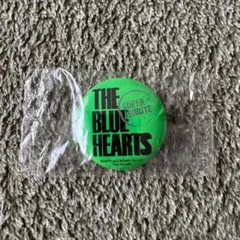 ブルーハーツ　初回限定DVDボックス　ロンT  缶バッジ付 Amazon.co.jp: THE BLUE HEARTS on TV DVD-BOX [DVD] (完全初回