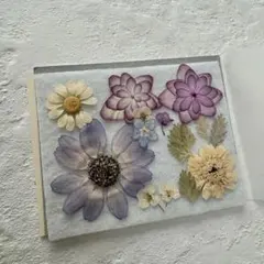 ドライフラワー 押し花アレンジメント セット レジン封入