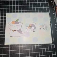 夏目友人帳　ニャンコ先生 ポストカード C
