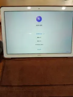 Item thumbnail for item b90bb529-c59c-4a26-ad1e-ffabe68e195d