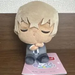 【新品タグ付き】名探偵コナン すやちびぃぬいぐるみマスコット Vol.4 安室透