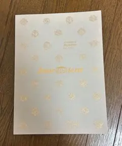 ジャニーズ King & Prince アイランド パンフレット