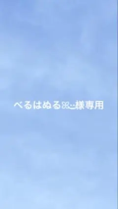 べるはぬるꕤ︎︎·͜·様 専用ページ