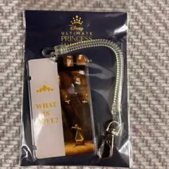 ディズニープリンセス　ICカードケース　ティアナ