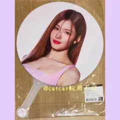 2025年最新】twiceソウルコンうちわの人気アイテム - メルカリ