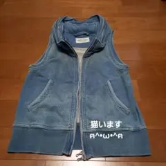 00s GOA ゴア コットンリネン ビックフード ダブルジップ ギミック