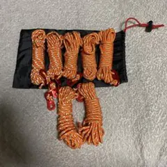 Item thumbnail for item 856fd0ae-102a-4886-a4e6-f07c45503519