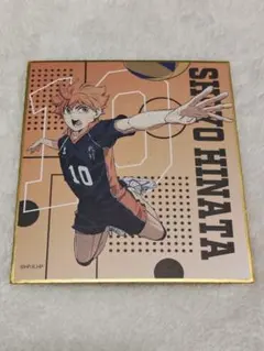 ハイキュー!! 日向翔陽 色紙