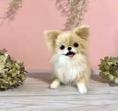 羊毛フェルト にこにこポメラニアンのフラワーバスケット あじさい