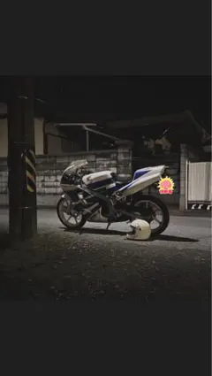 2026年最新】ns1カウルの人気アイテム - メルカリ