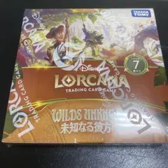 2026年最新】ロルカナ boxの人気アイテム - メルカリ