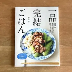 一品完結ごはん 藤井恵