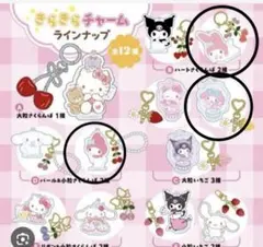 サンリオ　きらきらフルーツチャームBOOK マイメロ