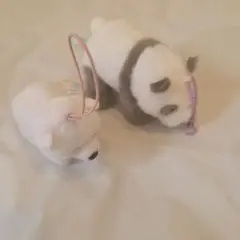 シロクマ パンダ セット ミニぬいぐるみ
