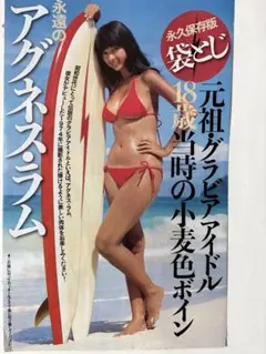 ☆アグネスラム水着ビキニ切り抜き8p☆ - メルカリ