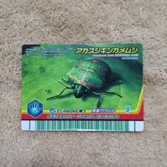 ムシキング2008夏レインボー カナブン - メルカリ