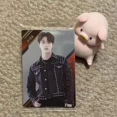 SEVENTEEN ディノ ウエハーストレカ