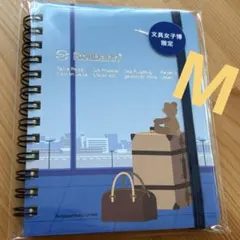 Item thumbnail for item fda18043-25ad-44e5-bdf4-e25ee1c7bcac