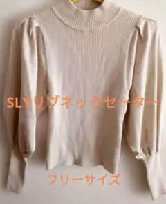 Item thumbnail for item 1aa00ace-3906-4740-9184-988e04db3515