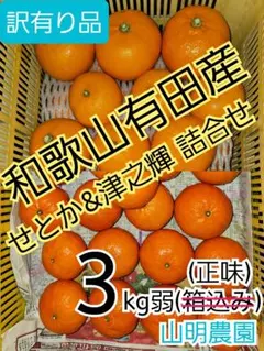 津之輝20㎏(家庭用)ナッツ 楽天市場】津之輝の通販