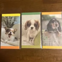 kou様 リクエスト 3点 まとめ商品