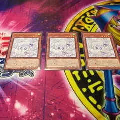 遊戯王　マルチャミー・フワロス　3枚セット