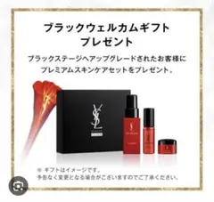 未開封イブサンローランYSL OR ROUGE オールージュ セット ブラック