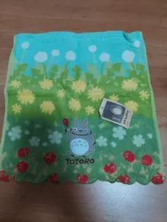 Item thumbnail for item a0f30580-0709-4edf-861b-887cf500687f