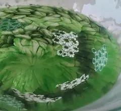 2025年最新】抹茶碗 ガラスの人気アイテム - メルカリ