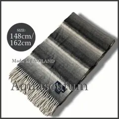 Item thumbnail for item fe09d38f-0edf-40a5-8f99-8dd403a5a390