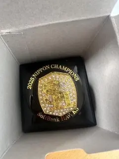 2025 チャンピオンリング