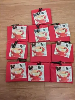 【10個セット】ポケットエコバッグ　まとめ売り　パール金属　レジ袋Lサイズのサムネイル