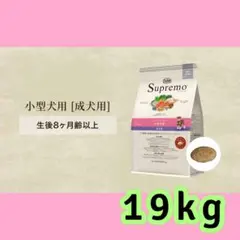 Item thumbnail for item a04f65e0-b460-4f0f-84dc-9860b2f984ba