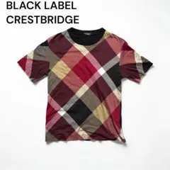 BLACK LABEL CRESTBRIDGE 半袖Tシャツ Mのサムネイル