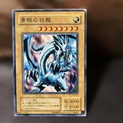 【3月5日特選販売最終日】青眼の白龍KA-03