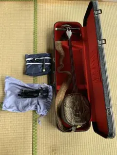 Item thumbnail for item 5527447b-a0ab-4d86-9985-362e7b402832