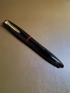 PILOT パイロット 万年筆 蒔絵 桜吹雪 朱 赤 細字 初期型 希少 レア