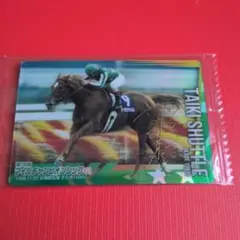 サラブレッドホースコークション　タイキシャトル　サイン