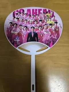 Item thumbnail for item ed976310-131e-4fd8-830c-1605cd62553e