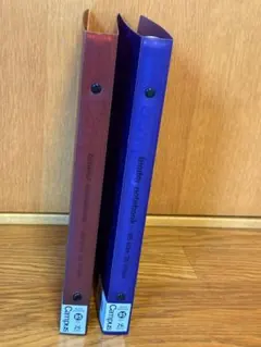 Item thumbnail for item ccb59f0a-222a-4074-9851-6c4055d829c8