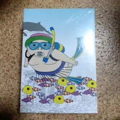 ういちとヒカルのおもスロいテレビDVDbox ういちとヒカルのおもスロいテレビ DVD BOX 5 () | ういち, 沖