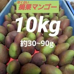 宮崎県産 摘果マンゴー グリーンマンゴー 10kg - メルカリ