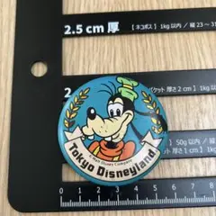東京ディズニーランド缶バッジ