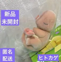 未開封 フィギュアコレクションPokémon Sleepワカクサ本島 ヒトカゲ