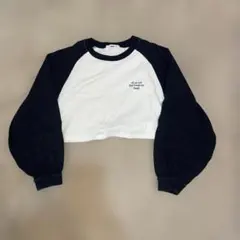 WEGO クロップドTシャツ Sサイズ