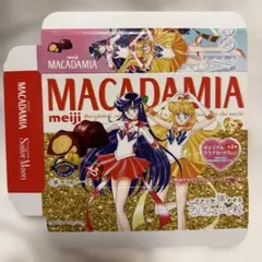 メイジ セーラームーン マカダミアチョコレート 箱のみ